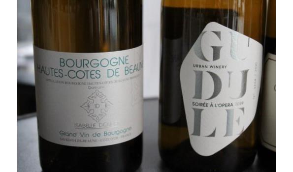 7 div flessen à 75cl witte wijn, wo Chablis, Bourgogne 2018,